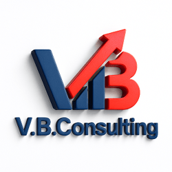 LOGO 3D VB CONSULTING web