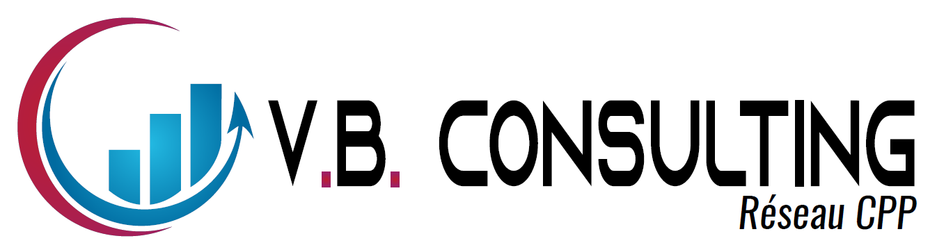 LOGO VB CONSULTING web-1